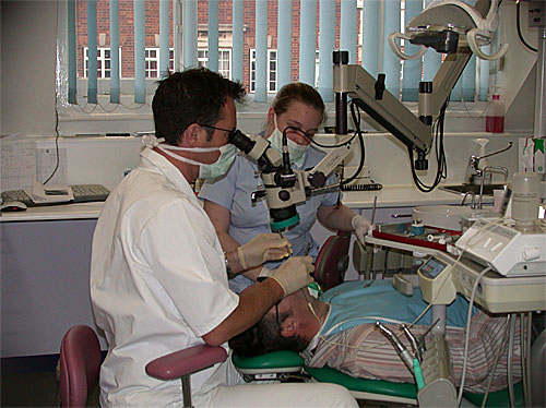 Expert Endodontist Care Root Canal Specialists